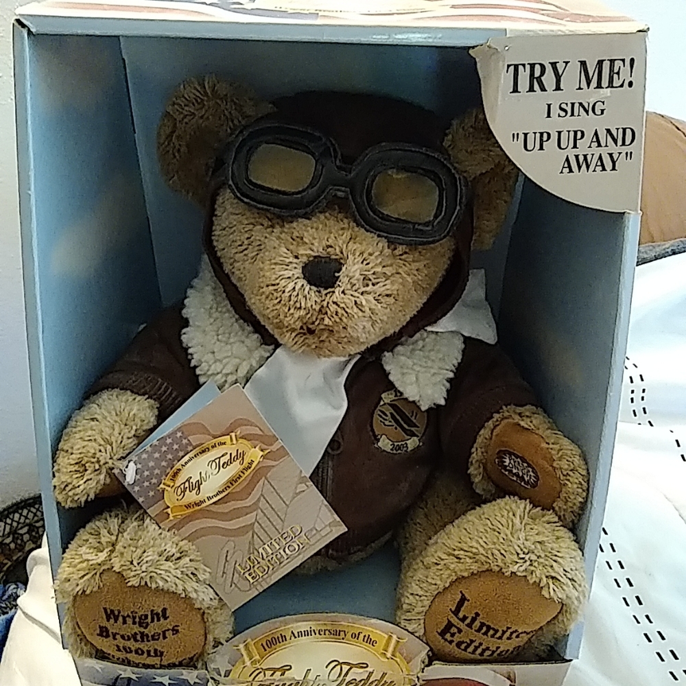 DanDee Dan Dee Teddy Bear Wright Brothers Flight plays "up up in the air"